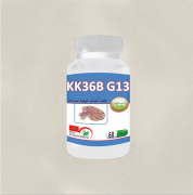 KK 36 B G13