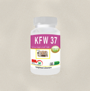 KFW 37
